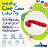 Candy Cane Ultra Durable Nylon Chew Toy - SodaPup/True Dogs, LLC