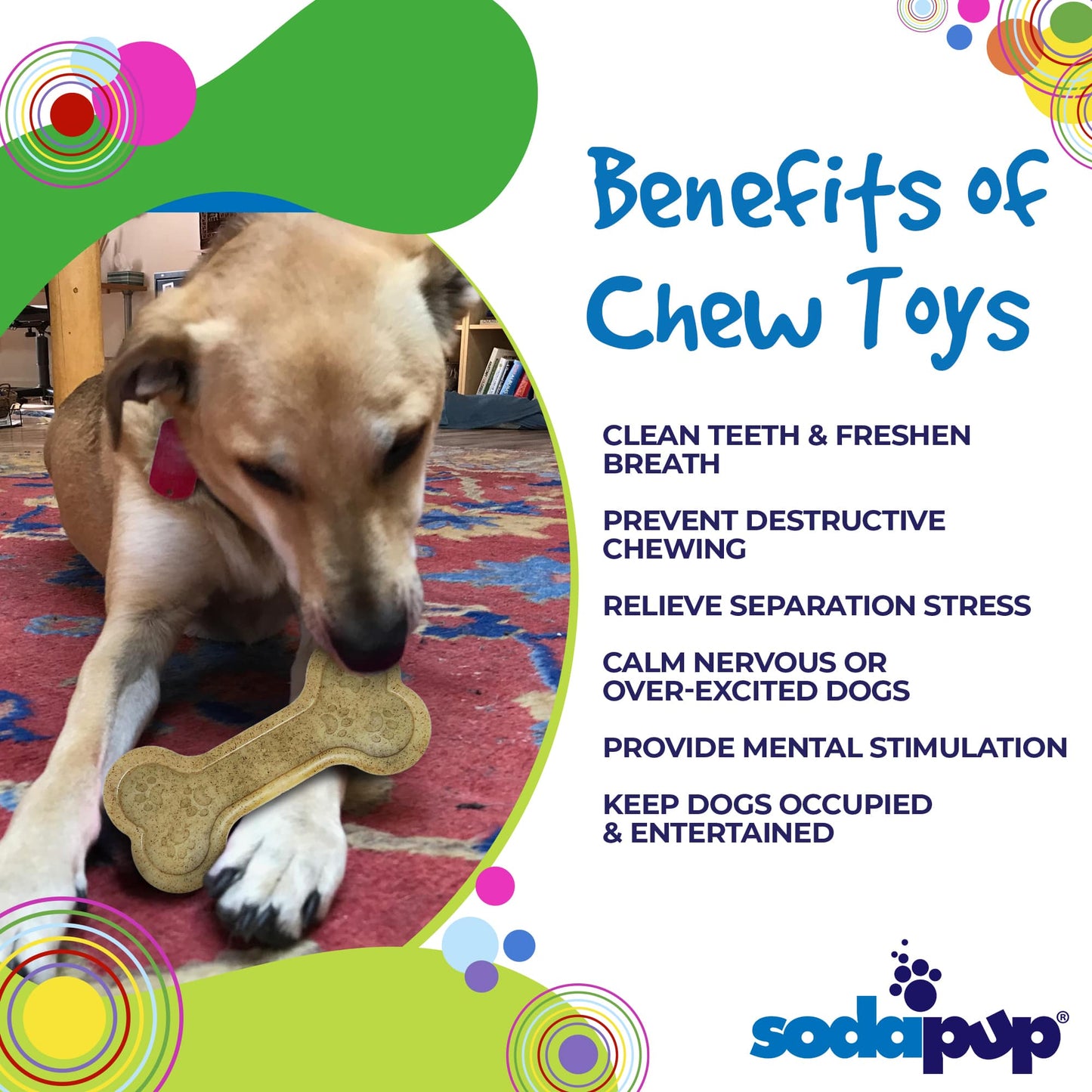SodaPup Bone eChew Ultra Durable Nylon Dog Chew Toy Aggressive Chewers | USA Made