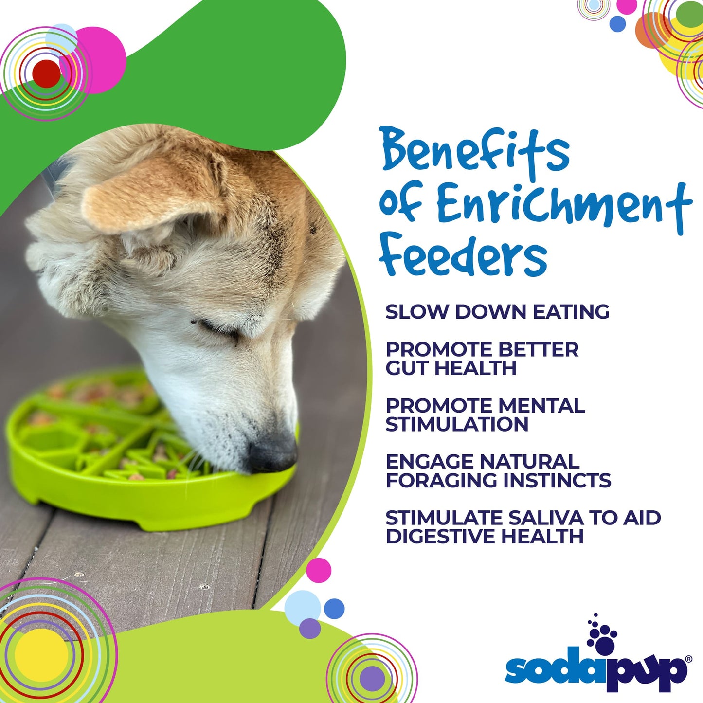 SodaPup Four Seasons eTray Shallow Slow Feeder Dog Bowl Enrichment | USA Made
