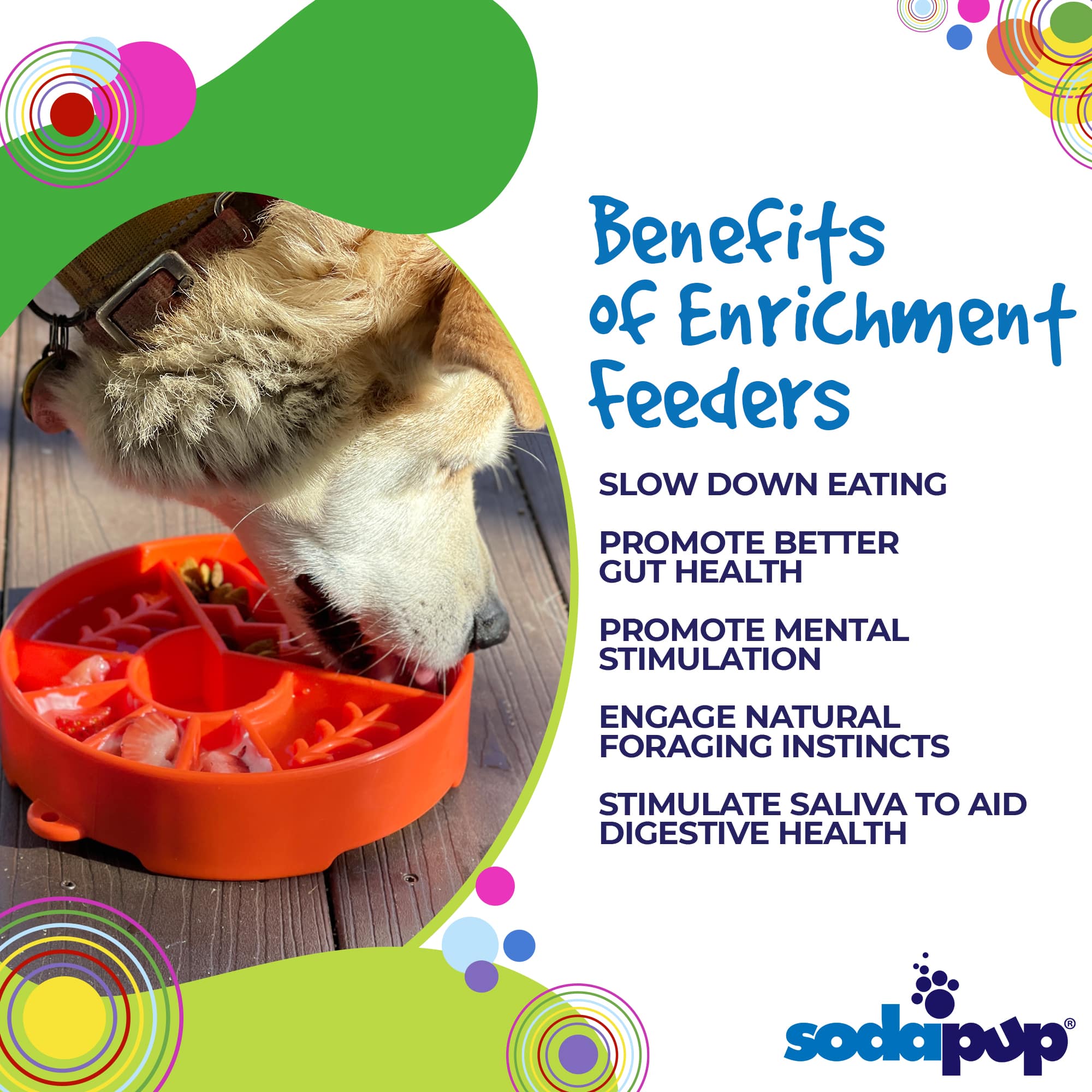 Great Outdoors eBowl - Slow Feeder Dog Bowl & Enrichment | USA
