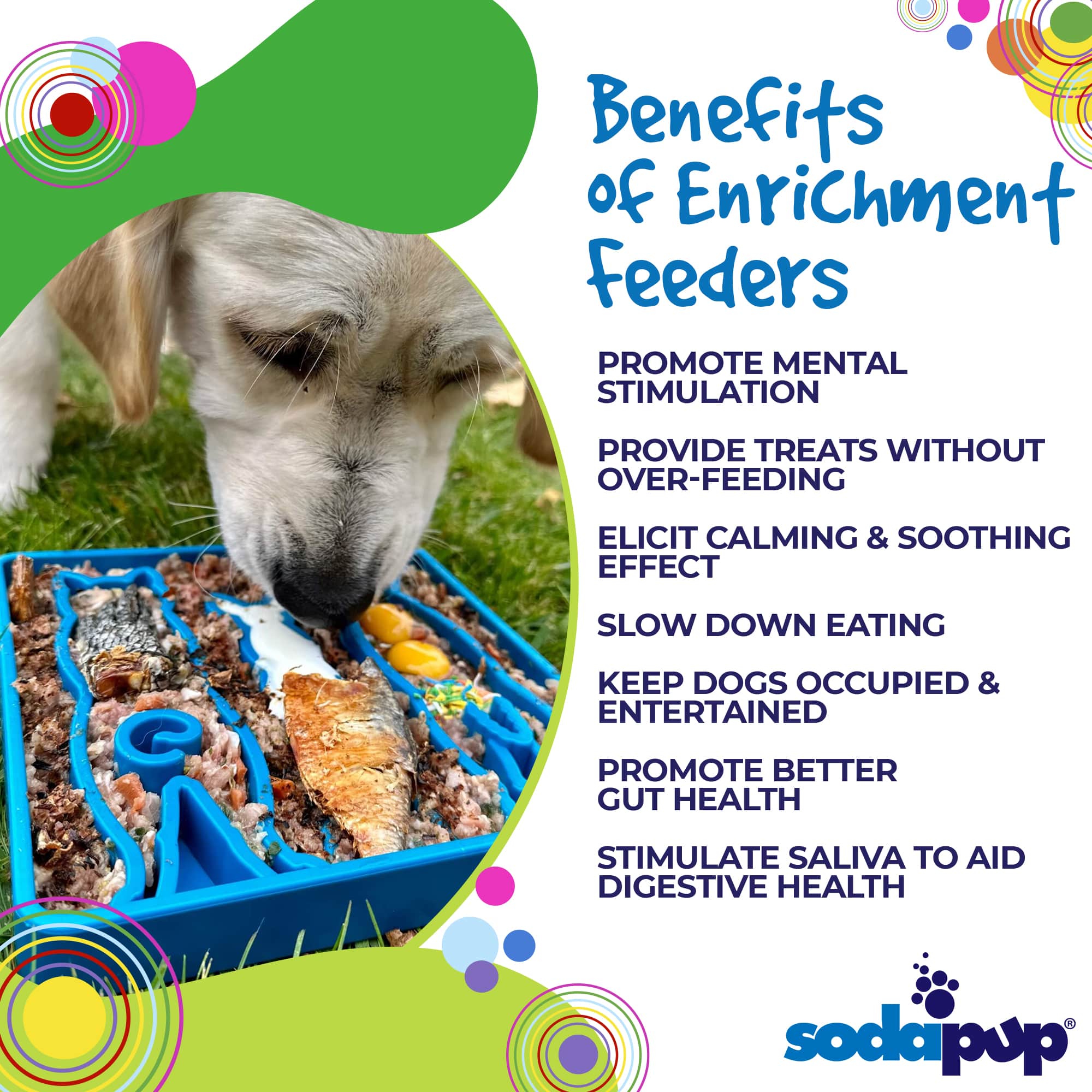 What is Enrichment for Dogs?