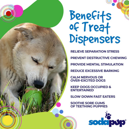 SodaPup Gnome Rubber Dog Chew Toy Heavy Chewers | Floating Treat Dispenser USA Made