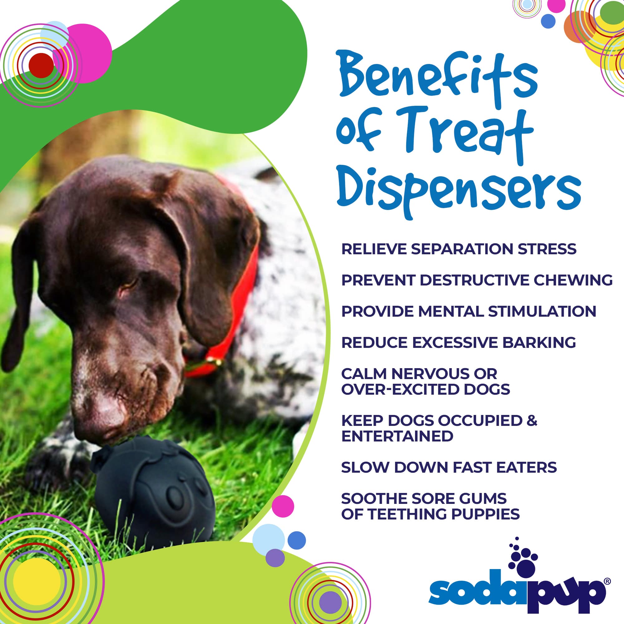 SodaPup - Penguin Durable Rubber Chew Toy and Treat Dispenser