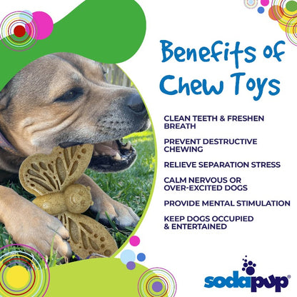 SodaPup Butterfly Nylon Chew & Enrichment Toy | 2-in-1 Aggressive Chewers