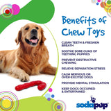 Candy Cane Ultra Durable Nylon Chew Toy - SodaPup/True Dogs, LLC