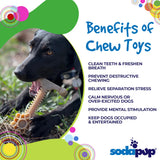 Honey Bone Dental Flower Tower eChew Ultra Durable Nylon Dog Chew Toy - XL - SodaPup/True Dogs, LLC