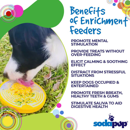 SodaPup Earth eCoin Nylon Lick Mat Dogs | USA Made Enrichment Toy