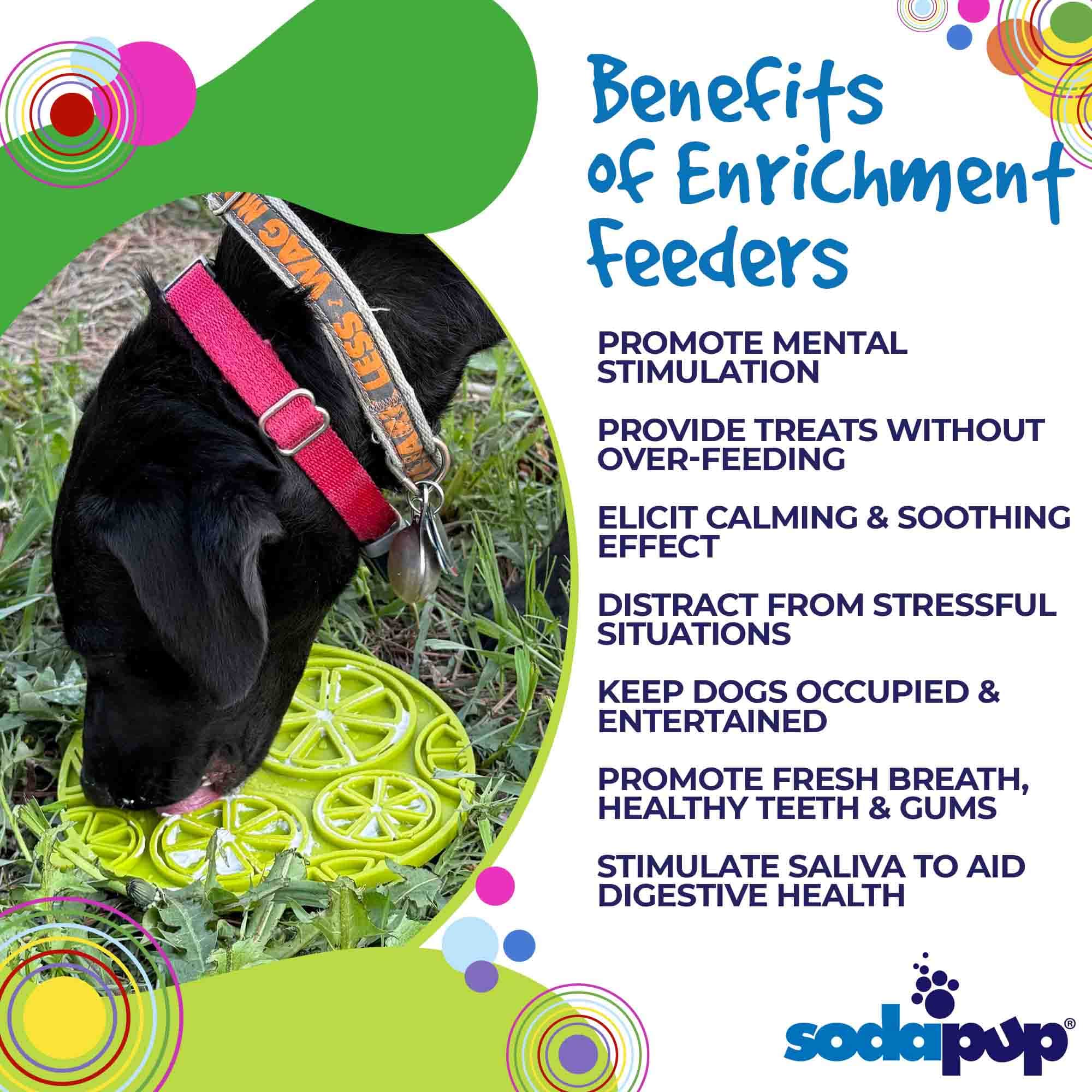 Citrus Design eMat - Enrichment Lick Mat For Dogs and Cats - with
