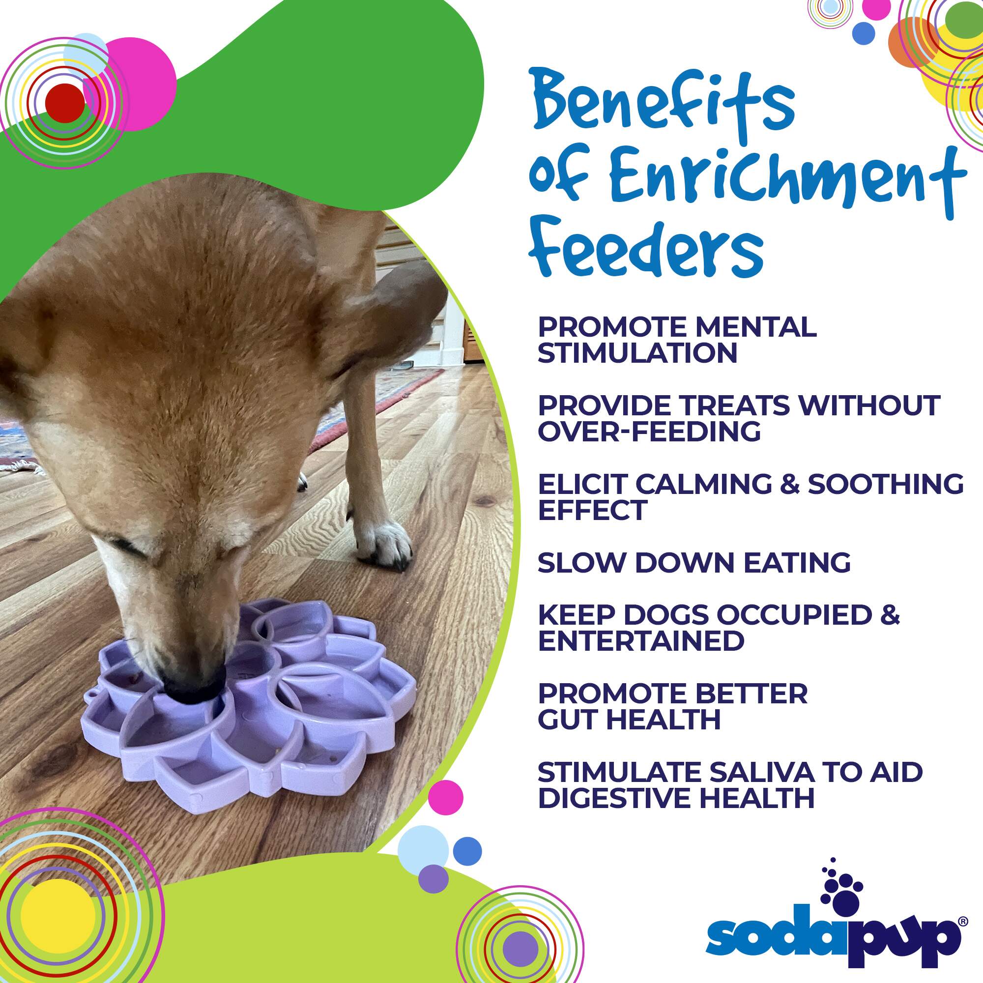 Mandala Softie eTray Shallow Slow Feeder Dog Bowl with Suction