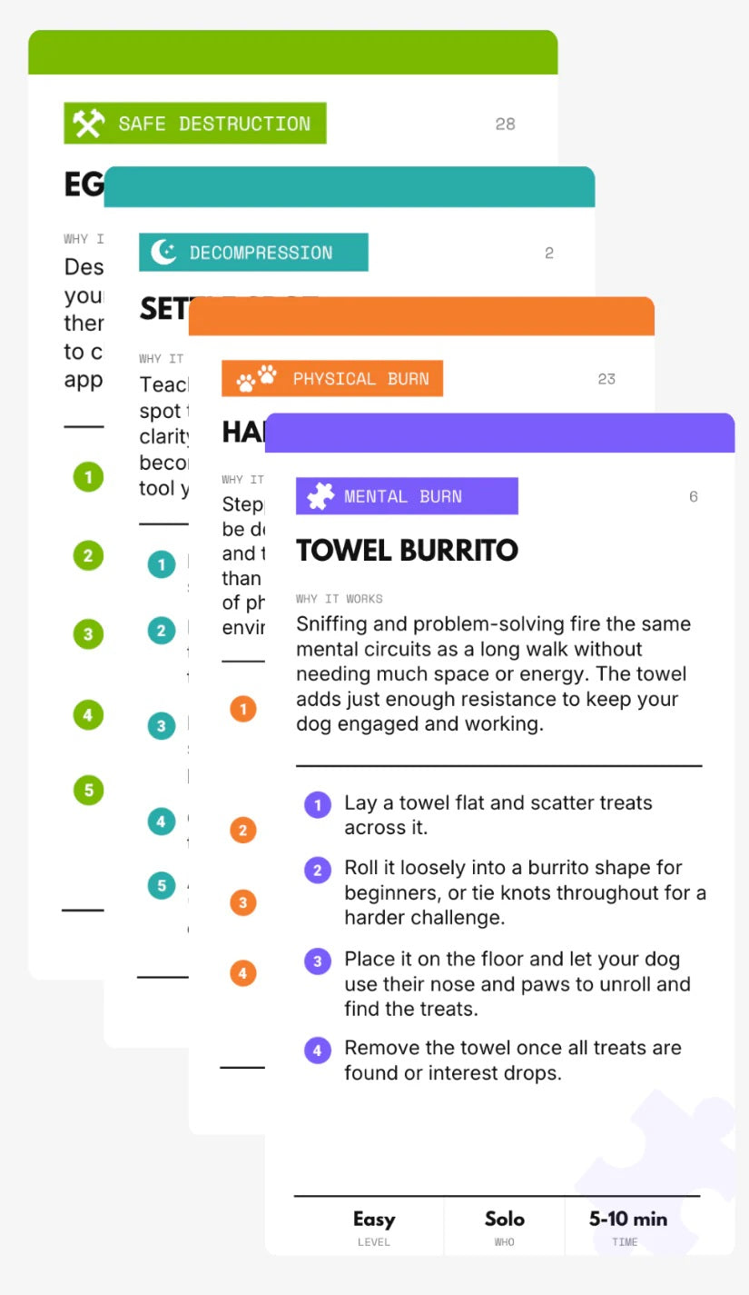 YOUR DOG IS BORED - 32 ENRICHMENT ACTIVITY CARD DECK - SodaPup/True Dogs, LLC