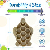 Turtle eChew Durable Nylon Chew and Enrichment Toy