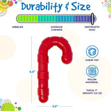 Candy Cane Ultra Durable Nylon Chew Toy - SodaPup/True Dogs, LLC