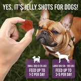 Dogtastic Jelly Shots Gelatin Mix For Dogs - Mango Flavor