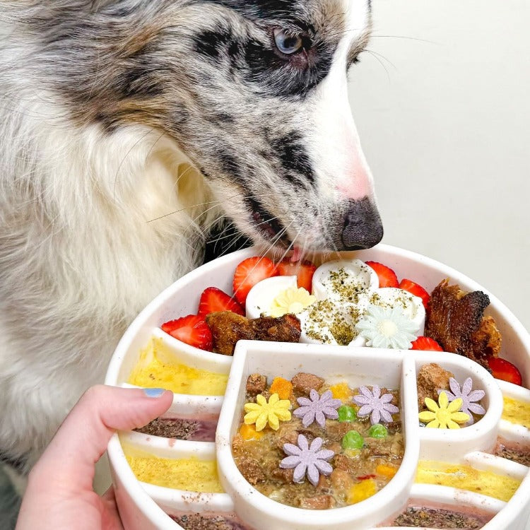 SodaPup Java eBowl Deep Slow Feeder Dog Bowl Enrichment | USA Made