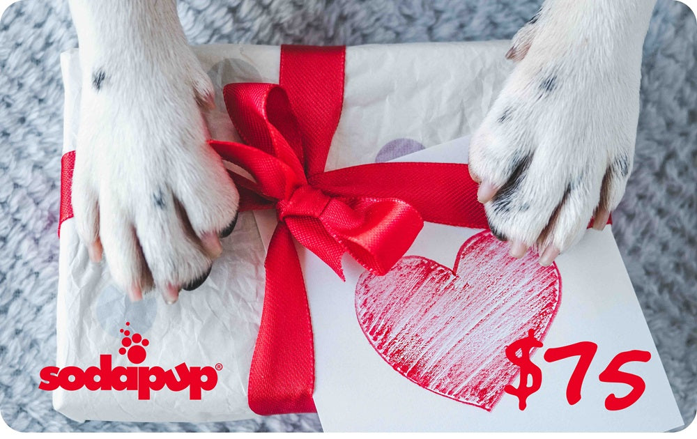 Sodapup Gift Cards $75.00