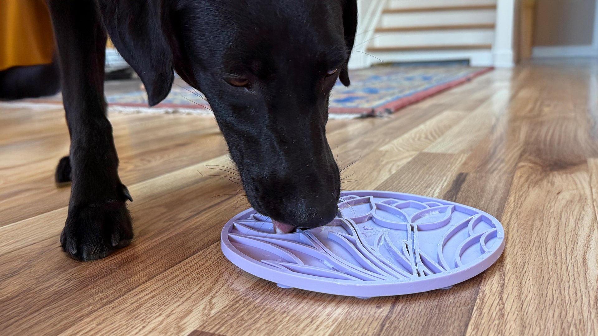 Tulip Design eMat - Enrichment Lick Mat For Dogs and Cats - With