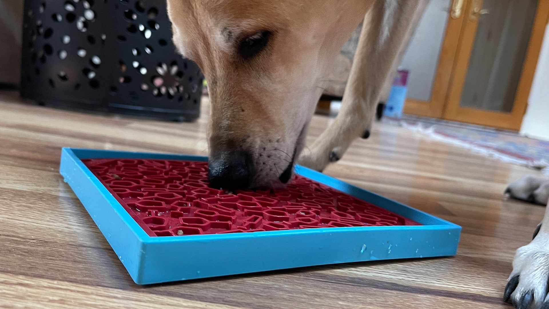 SodaPup Vino Dog eMat Enrichment Lick Mat Dogs Cats | Wine-Inspired Design|