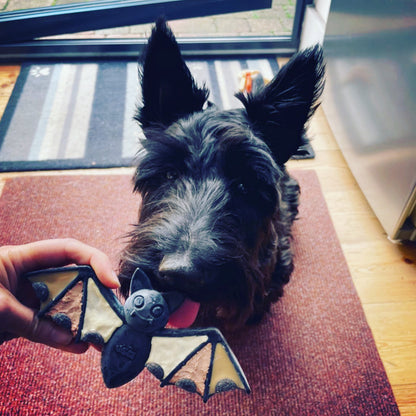 Scottish terrier chewing a black Bat held by a hand