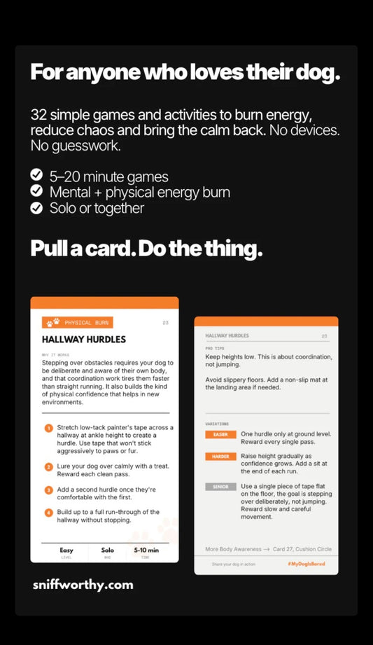 YOUR DOG IS BORED - 32 ENRICHMENT ACTIVITY CARD DECK