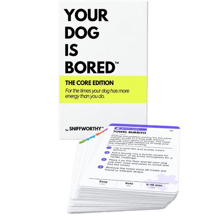 Your Dog Is Bored enrichment activity card deck box, The Core Edition, with a fanned stack of cards