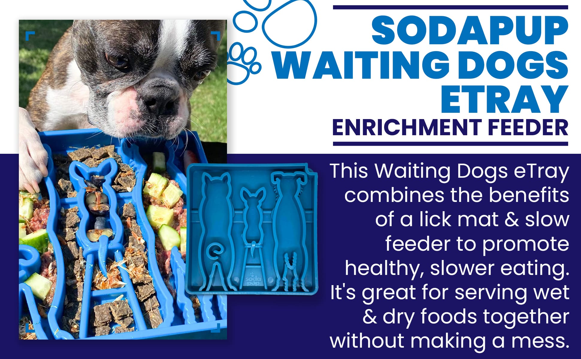 SodaPup Waiting Dogs eTray Shallow Slow Feeder Bowl Enrichment | USA Made