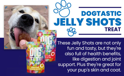 SodaPup Dogtastic Jelly Shots Silicone Mold Christmas Shapes