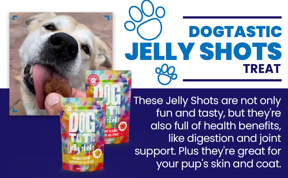 SodaPup Dogtastic Jelly Shots Silicone Mold Halloween Shapes