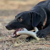 Ever Antler Nylon Chew Bone | Elk Antler Shaped Dog Toy for Aggressive Chewers | SodaPup