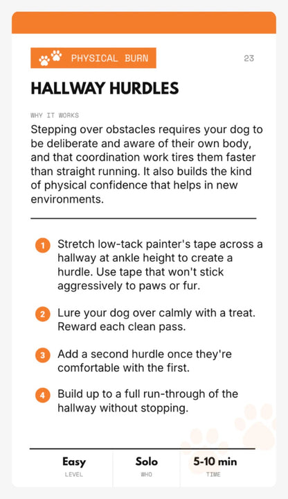 YOUR DOG IS BORED - 32 ENRICHMENT ACTIVITY CARD DECK - SodaPup/True Dogs, LLC