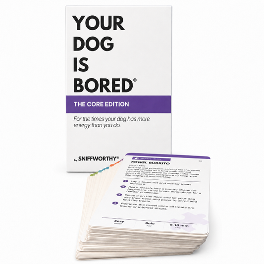 A boxed pet training card set labeled 'YOUR DOG IS BORED' with a stack of printed training cards in front on a clean white background.