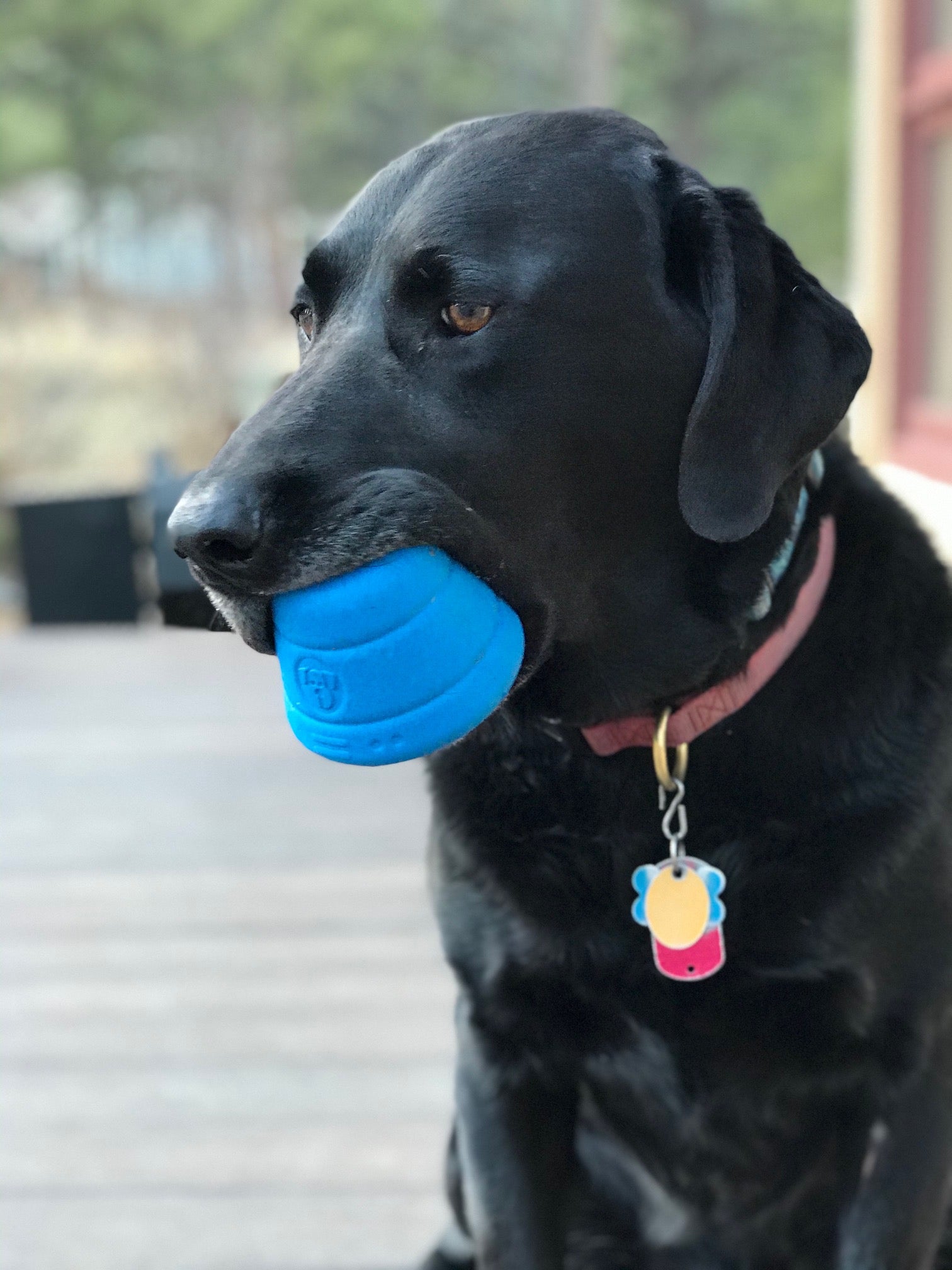 SodaPup Space Capsule eDispenser™ Durable Dog Chew Toy Aggressive Chewers | USA Made