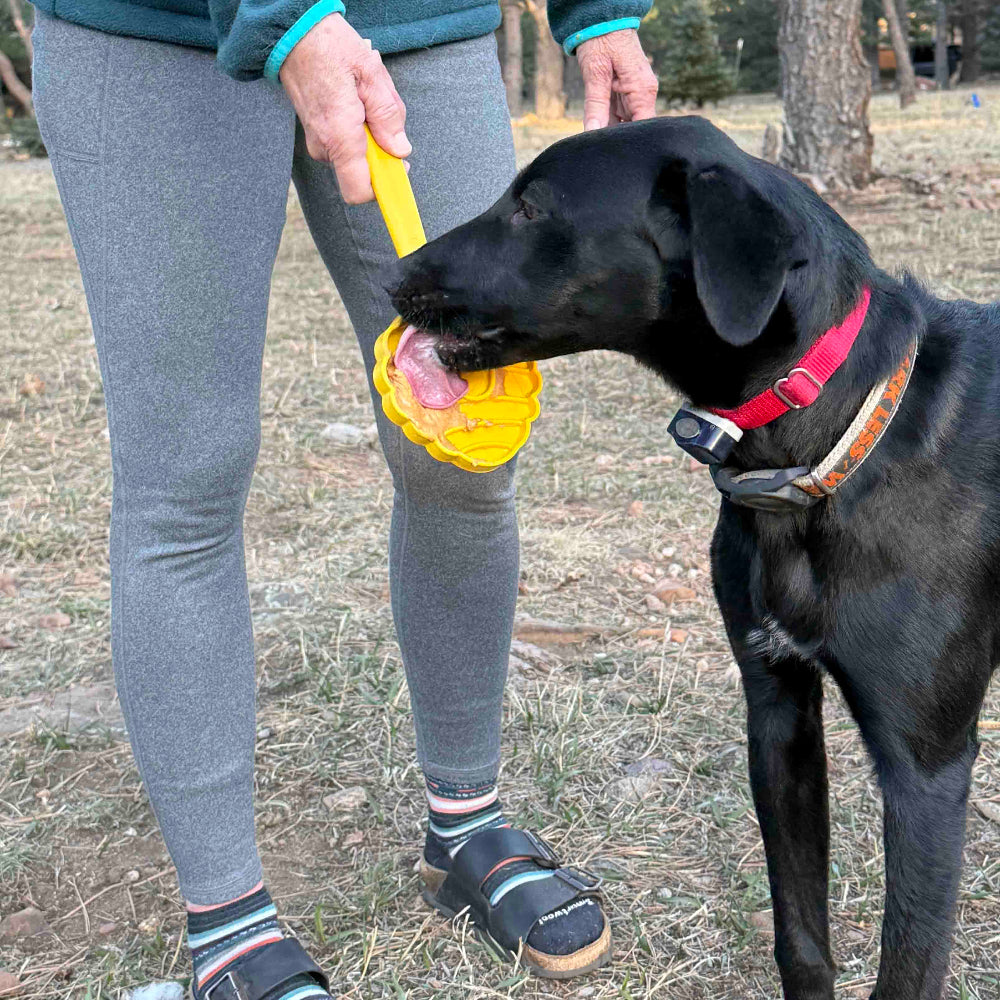 SodaPup eStick Hand-Held Dog Enrichment Toy Interactive Lick Stick | USA Made