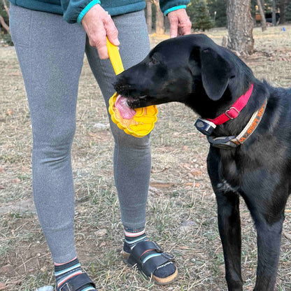 SodaPup eStick Hand-Held Dog Enrichment Toy Interactive Lick Stick | USA Made