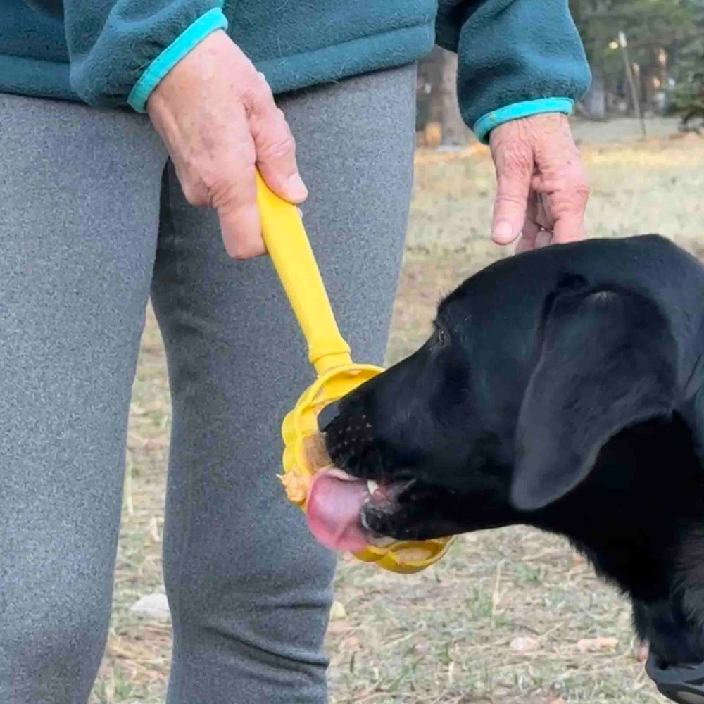 SodaPup eStick Hand-Held Dog Enrichment Toy Interactive Lick Stick | USA Made