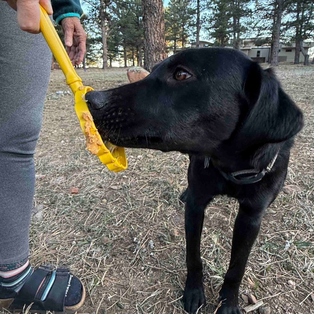 SodaPup eStick Hand-Held Dog Enrichment Toy Interactive Lick Stick | USA Made