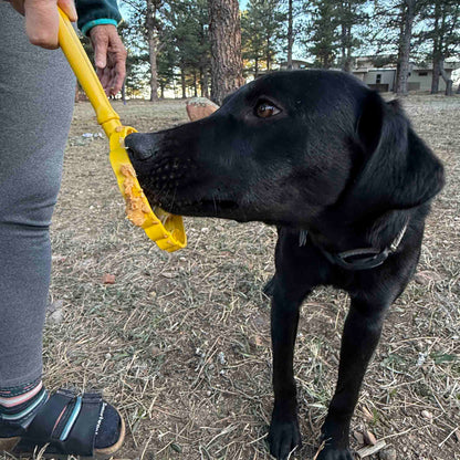 SodaPup eStick Hand-Held Dog Enrichment Toy Interactive Lick Stick | USA Made