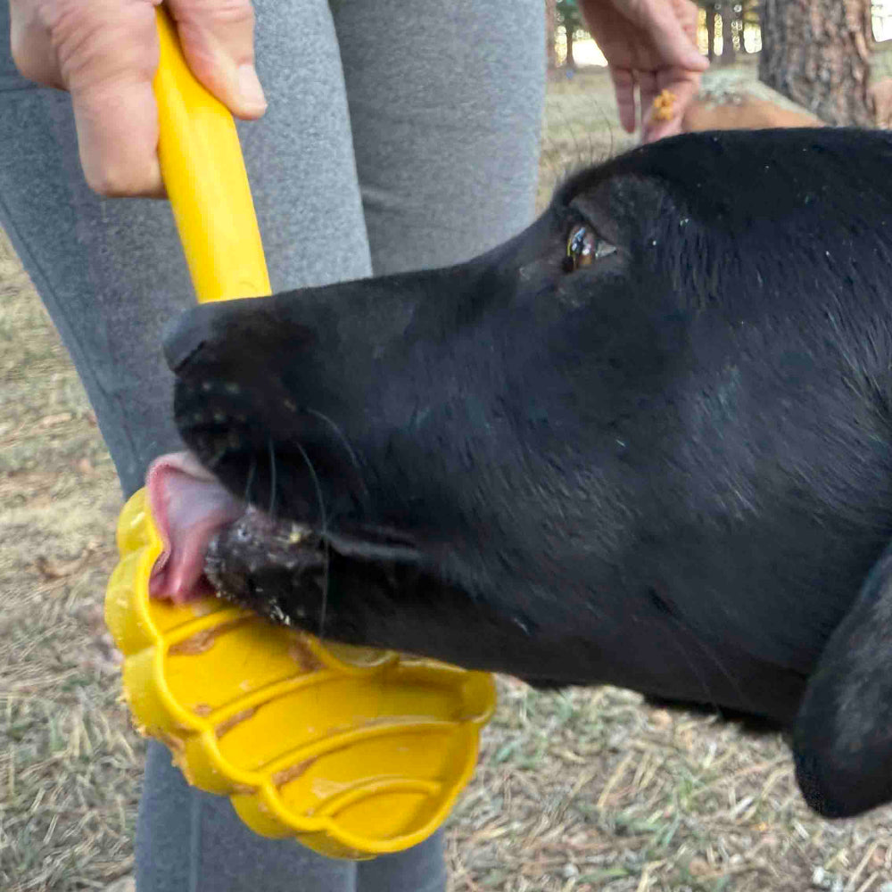 SodaPup eStick Hand-Held Dog Enrichment Toy Interactive Lick Stick | USA Made