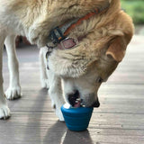 Space Capsule eDispenser: Ultra-Durable Chew Toy & Enrichment Feeder