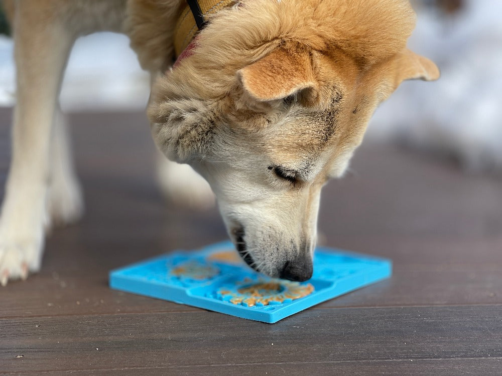 SodaPup Sky eMat Enrichment Lick Mat Dogs Cats | Celestial Design