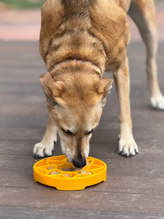 Sunflower Slow Feeder Dog Bowl - Shallow eTray Lick Mat | Made in