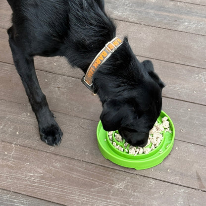 SodaPup Garden Design eTray Shallow Slow Feeder Dog Bowl Enrichment | USA
