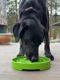 Garden Design eTray Enrichment Slow Feeder Tray for Dogs - Apple Green