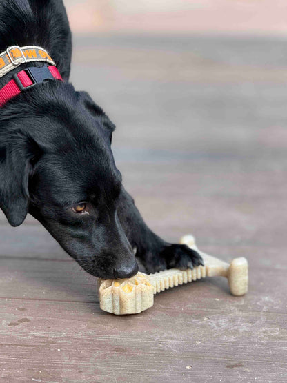 SodaPup Honey Bone Dental Flower Tower Indestructible Nylon Dog Chew Toy XL | USA
