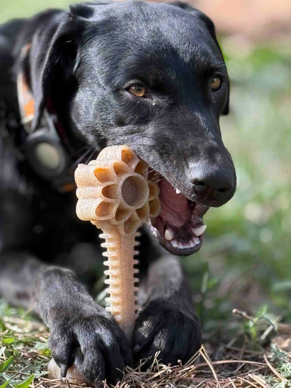 SodaPup Honey Bone Dental Flower Tower Indestructible Nylon Dog Chew Toy XL | USA
