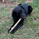 Durable Nylon Chew Stick - SodaPup/True Dogs, LLC