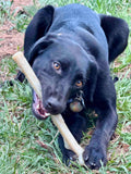Durable Nylon Chew Stick - SodaPup/True Dogs, LLC