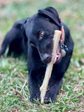 Durable Nylon Chew Stick - SodaPup/True Dogs, LLC