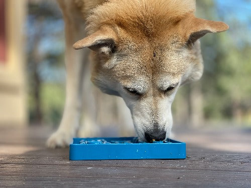 SodaPup Waiting Dogs eTray Shallow Slow Feeder Bowl Enrichment | USA Made