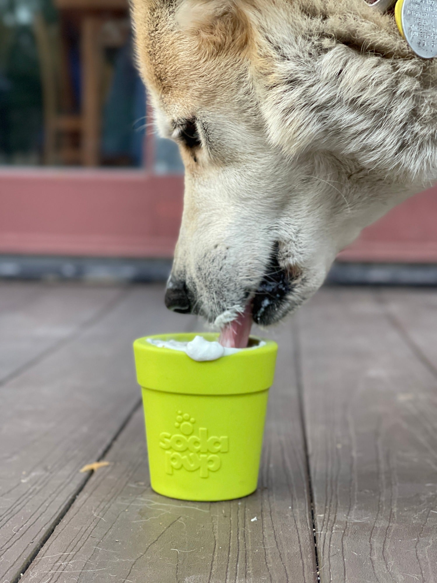 SodaPup Large Flower Pot eCup Dog Treat Dispenser | Durable USA-Made Enrichment Toy