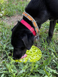 Citrus Design eMat Enrichment Lick Mat With Suction Cups